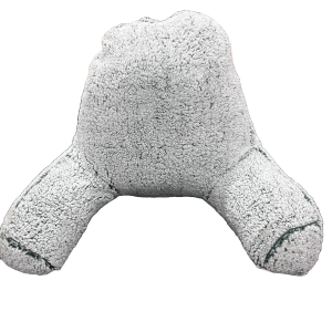 Teddy Fleece Reading Cuddle Cushion